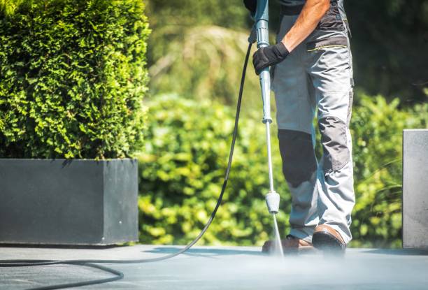 Best Gutter Cleaning  in Eastpointe, MI
