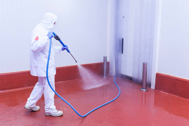 Best Oil Spill Cleanup  in Eastpointe, MI